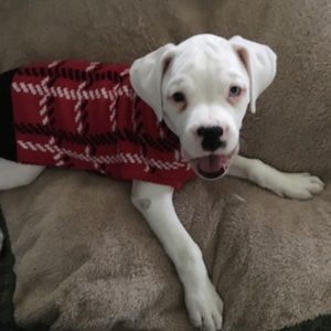 Meet your Posher, Anne